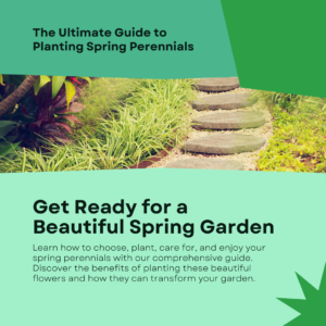 ​a complete planting guide and benefit for spring perennials