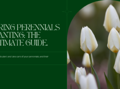 ​a complete planting guide and benefit for spring perennials