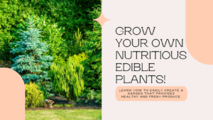 How to Grow Nutritious Edible Plants in Your Backyard
