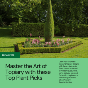 Master the Art of Topiary with these Top Plant Picks
