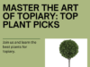 Master the Art of Topiary with these Top Plant Picks