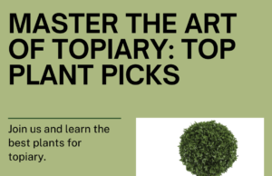 Master the Art of Topiary with these Top Plant Picks