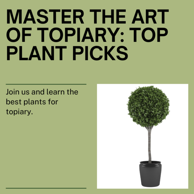 Master the Art of Topiary with these Top Plant Picks