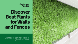 Discover Best Plants for Walls and Fences