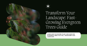 Transform Your Landscape with Fast-Growing Evergreen Trees Guide