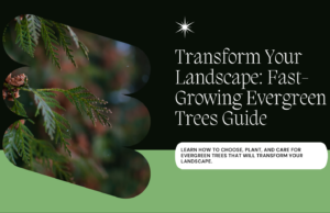 Transform Your Landscape with Fast-Growing Evergreen Trees Guide