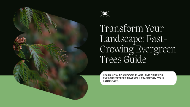 Transform Your Landscape with Fast-Growing Evergreen Trees Guide