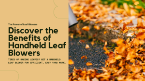 How to Choose the Best Leaf Blower