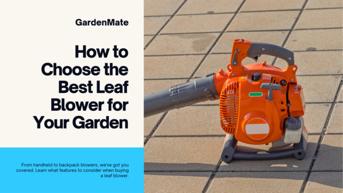 How To Choose The Best leaf blower