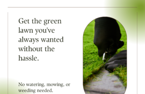 Unveiling the Eco-Friendly Benefits of Artificial Turf