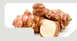 Discover the Health Benefits of Jerusalem Artichokes and Grow Your Own Supply