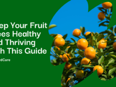 a guide to pest and disease control in fruit tree care​