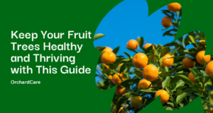 a guide to pest and disease control in fruit tree care​