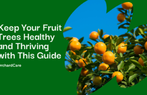 a guide to pest and disease control in fruit tree care​