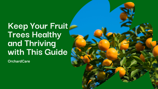 a guide to pest and disease control in fruit tree care​