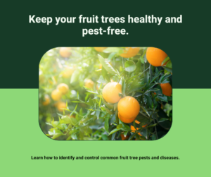 a guide to pest and disease control in fruit tree care​