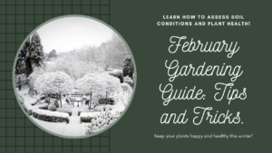 February Gardening Checklist: Tips for a Blooming Garden in the South