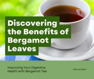 ​Uncover the Surprising Health Benefits of Bergamot Leaves