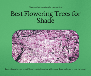 best flowering trees for shade