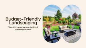 budget-friendly landscap​ing ideas for a beautiful backyard