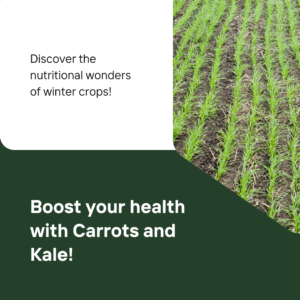 Discover the Fastest-Growing Veggies for Your winter Garden