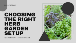 Explore the Perfect Indoor Herb Garden for Your Kitchen