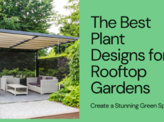 Discover The best Plants Designs for rooftop gardens