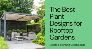 Discover The best Plants Designs for rooftop gardens