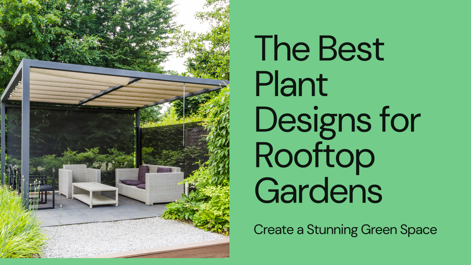 Discover The Best Plants Designs For Rooftop Gardens Smart Gardening Tips