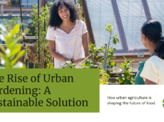 ​exploring the rise of urban gardening​