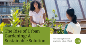 ​exploring the rise of urban gardening​