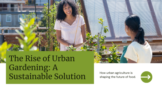 ​exploring the rise of urban gardening​