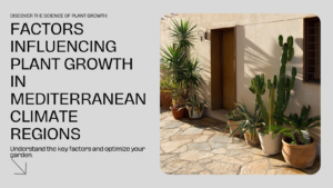 ​Discover the Perfect Soil for Thriving Mediterranean Plants