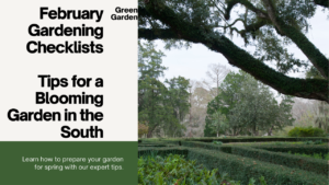 February Gardening Checklist: Tips for a Blooming Garden in the South