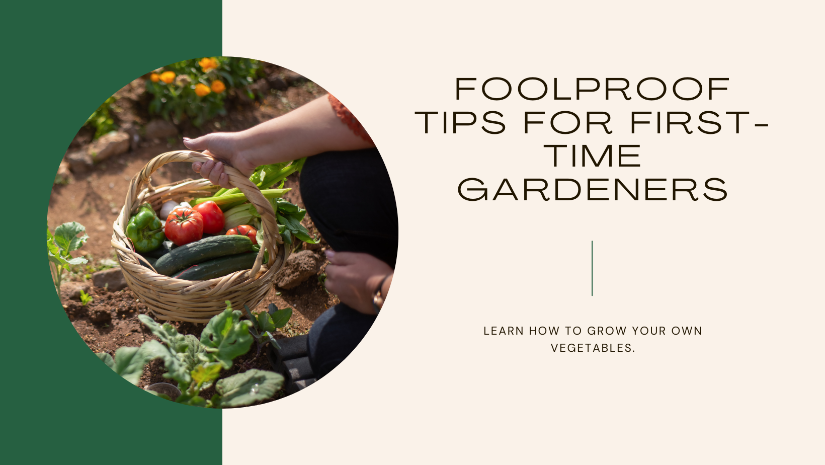 Foolproof Gardening Tips For Absolute Beginners Smart Gardening Tips