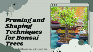 How to Cultivate the Fastest Growing Bonsai Trees Indoors