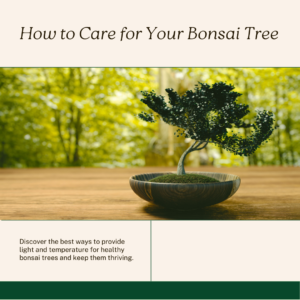 How to Cultivate the Fastest Growing Bonsai Trees Indoors