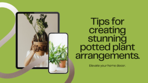 Learn how to Arrange Potted Plants in Your Garden