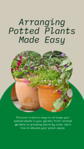 Learn how to Arrange Potted Plants in Your Garden