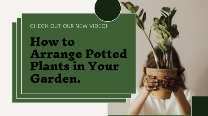 Learn How To Arrange Potted Plants In Your Garden