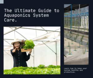 Exploring the Benefits of Aquaponics for Growing Vegetables