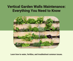 Learn why Vertical Garden Wall is a Practical Solution for Limited Spaces