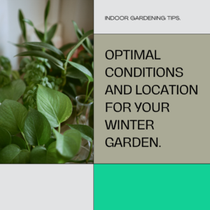 Master Indoor Winter Gardening