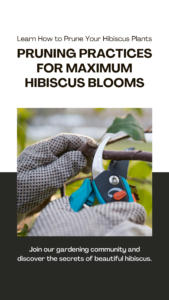 Pruning Secrets: How to Keep Your Hibiscus in Check