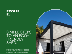 Simple Steps To Make Your Shed Environmentally Friendly