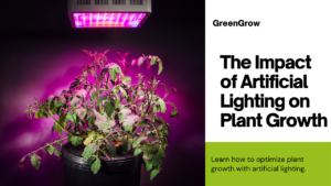 Discover How Artificial Light Can Transform Indoor Plant Growth