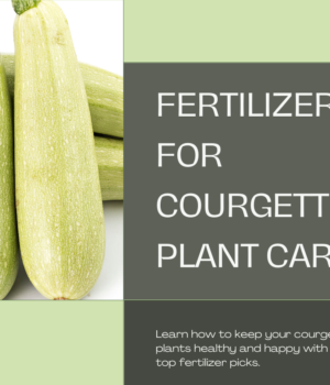 The Best Fertilizers in Courgette Plant Care