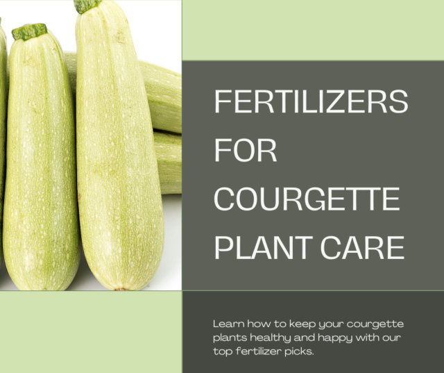 The Best Fertilizers in Courgette Plant Care