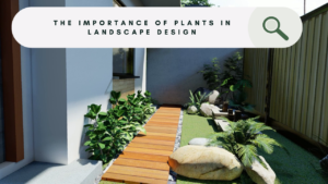 Unlock Key Elements of Landscape Design