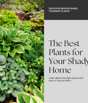 Best Shade Tolerant Plants For Indoors: A Comprehensive Guide